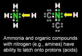 chemistryland.com Amines