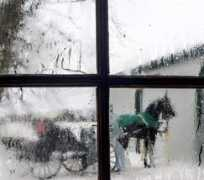 Amish