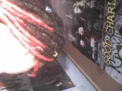 ld50.hu Amitis