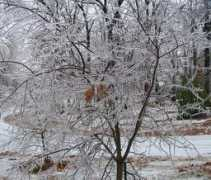 blog.usawx.com Amjan
