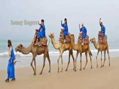 amodoucheval.com Amodou