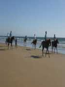 amodoucheval.com Amodou