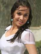 84.45.70.182 Amoha