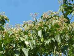 garten.cz Ampak