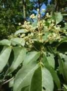 garten.cz Ampak