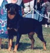 esmondrott.com Amparita