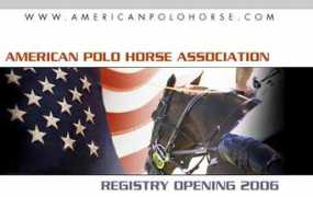 uscpolo.com Ampolo