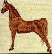 stitching.com Amsad