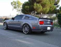 mustangworld.com Anabels