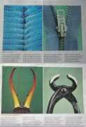 revista.unam.mx Anabio