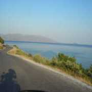 Anadias