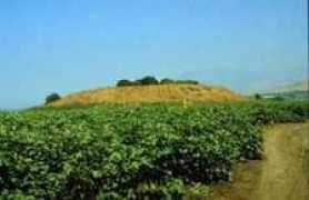 Anafa