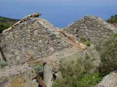 Anaga