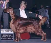 chantillykennels.com Analain