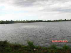 zonkerala.com Anari