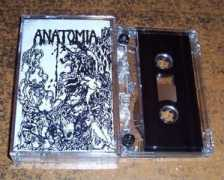 nwnprod.com Anatomia