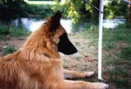 dufinmatois.com Anchelle