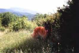 dufinmatois.com Anchelle