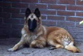 dufinmatois.com Anchelle