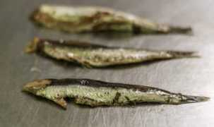 Anchoas