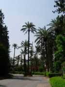 riadissil.free.fr Andalous
