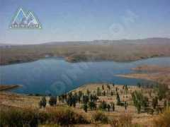 andinia.com Andinia