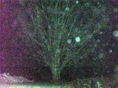 hauntedamericatours.com Andruccioli