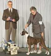 shadowdaleboxers.com Anestasia