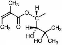 apps.who.int Angelol