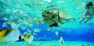 sightseeinggroup.com Angtong