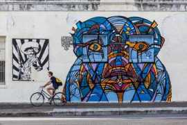 petertsaiphotography.com Anguilu