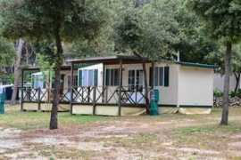 avtokampi.si Angulin