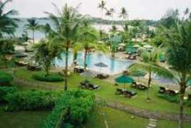 beautynewsnyc.com Angusa