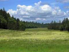 totalescape.com Angwin