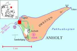 Anho