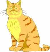 Anicat