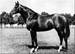 bloodlines.net Anilin