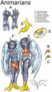 inhuman-comic.com Animaria