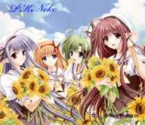 ss3.beon.ru Animey