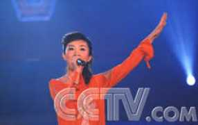 cctv.com Anlid