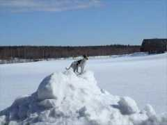 viranords.cybersite.se Annafia