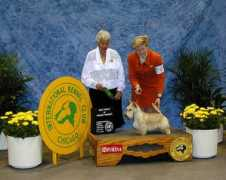 charthillscotties.com Annemargaret