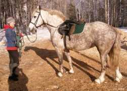 equestrian.ru Annush