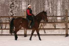 equestrian.ru Annush