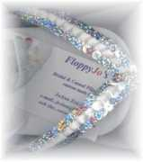 floppyjos.com Anolin