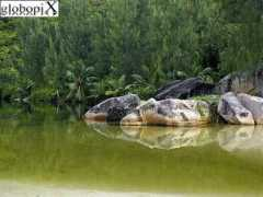 Anse