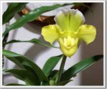 gardenbanter.co.uk Ansum