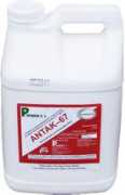 pamena.com Antak