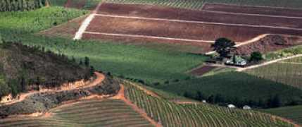 rupertwines.com Anthonij