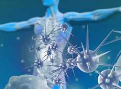 topnews.in Antibody